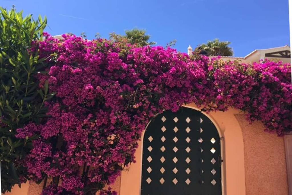 Vila Bela Nova Acacias 22 Luz المظهر الخارجي الصورة